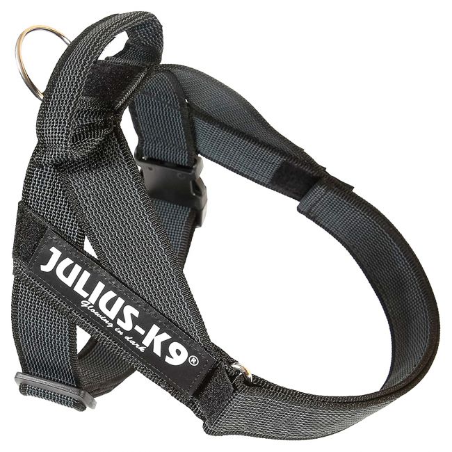 JULIUS-K9 шлейка для собак Ремни Color & Gray IDC® 3 (84-113см / 40-70кг), черный СКИДКА 50% JULIUS-K9 шлейка для собак Ремни Color & Gray IDC® 3 (84-113см / 40-70кг), черный СКИДКА 50%