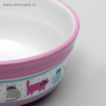 Миска керамическая "Кошачья жизнь", 300 мл, 12,7 х 5 см, розовая Миска керамическая "Кошачья жизнь", 300 мл, 12,7 х 5 см, розовая