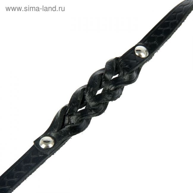 Поводок кожаный однослойный длинный, 1.9 м х 1 см, микс Поводок кожаный однослойный длинный, 1.9 м х 1 см, микс